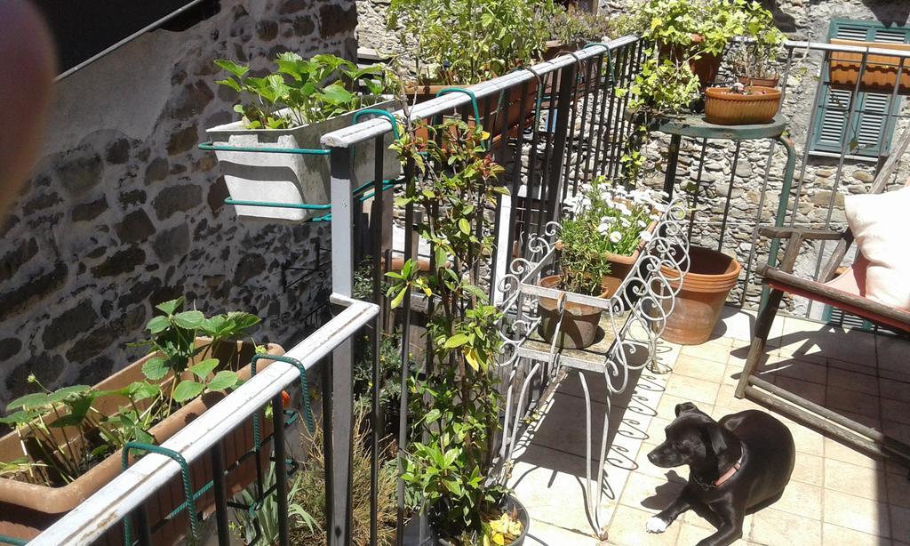 Casa Med Holiday Home Isolabona Extérieur photo